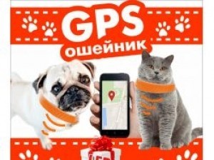 Баннерок для продажи GPS ошейников